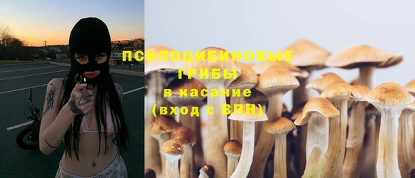 круглые Рославль
