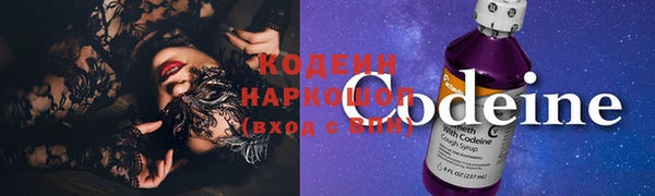 стаф Ельня