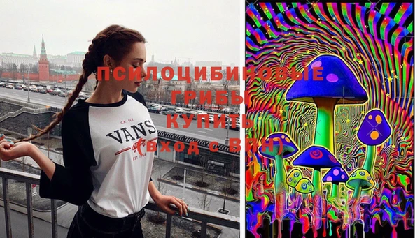 тгк Россошь