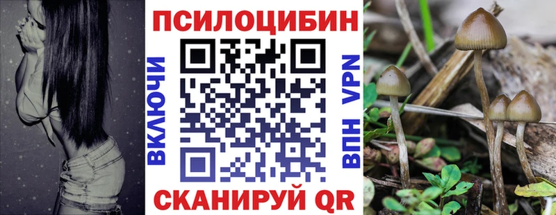 Галлюциногенные грибы Cubensis  MEGA ссылки  Сретенск 